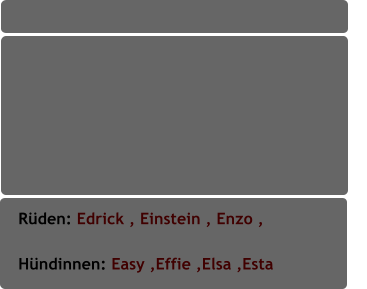 Rüden: Edrick , Einstein , Enzo ,                         Hündinnen: Easy ,Effie ,Elsa ,Esta