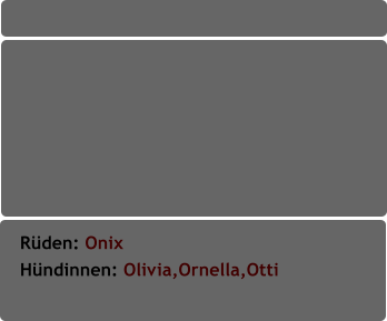 Rüden: Onix               Hündinnen: Olivia,Ornella,Otti