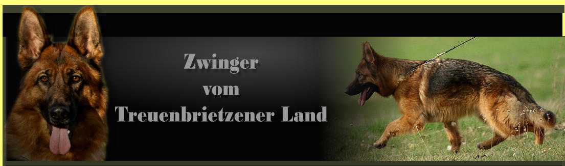 Zwinger vom Treuenbrietzener Land