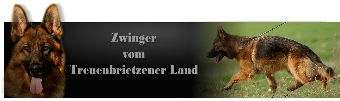 Zwinger vom Treuenbrietzener Land