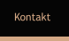 Kontakt