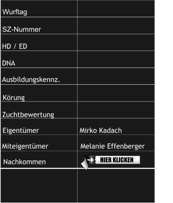 Wurftag                                              SZ-Nummer                      HD / ED                          DNA                                Ausbildungskennz.          Zuchtbewertung                    Körung                          Eigentümer                   Mirko Kadach Miteigentümer               Melanie Effenberger              Nachkommen    HIER KLICKEN