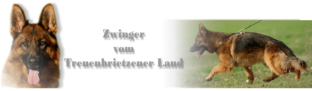 Zwinger vom Treuenbrietzener Land