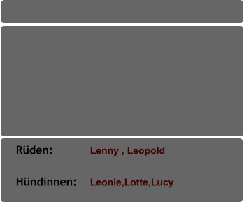 Rüden:           Lenny , Leopold           Hündinnen:    Leonie,Lotte,Lucy