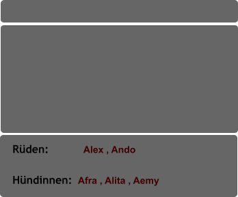 Rüden:            Alex , Ando           Hündinnen:  Afra , Alita , Aemy