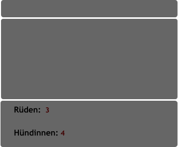 Rüden:  3         Hündinnen: 4