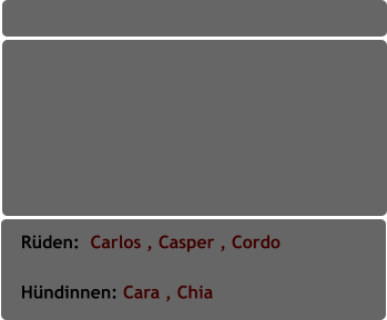 Rüden:  Carlos , Casper , Cordo                       Hündinnen: Cara , Chia