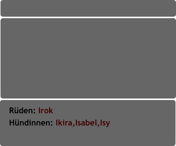 Rüden: Irok Hündinnen: Ikira,Isabel,Isy