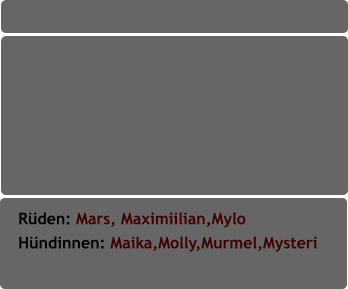 Rüden: Mars, Maximiilian,Mylo Hündinnen: Maika,Molly,Murmel,Mysteri