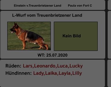 Rüden: Lars,Leonardo,Luca,Lucky                      Hündinnen: Lady,Laika,Layla,Lilly  L-Wurf vom Treuenbrietzener Land  WT: 25.07.2020  Einstein v.Treuenbrietzener Land        Paula von Fort C   Kein Bild