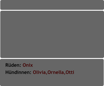 Rüden: Onix               Hündinnen: Olivia,Ornella,Otti