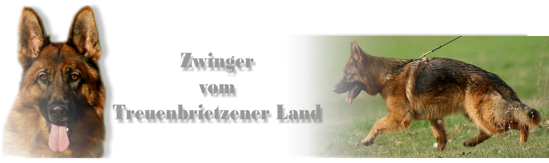 Zwinger vom Treuenbrietzener Land