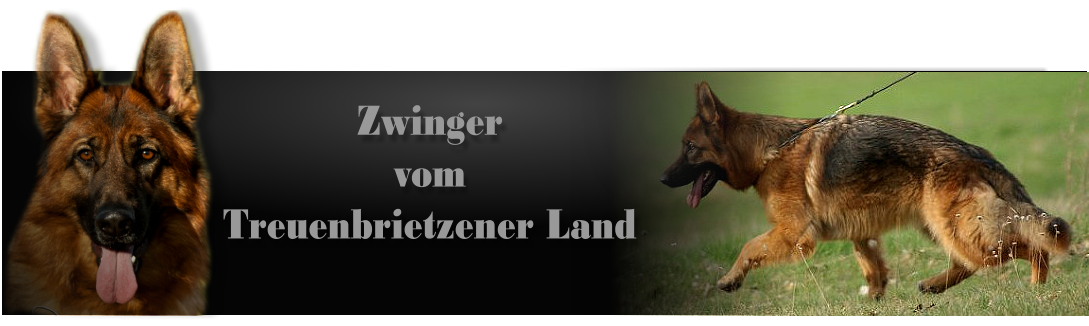 Zwinger vom Treuenbrietzener Land