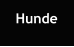 Hunde